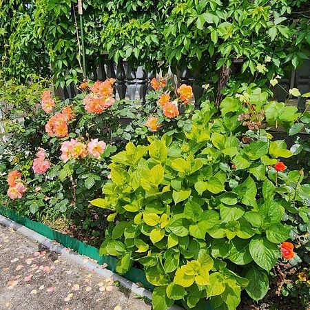 Apartment Dukic บาร์ ภายนอก รูปภาพ