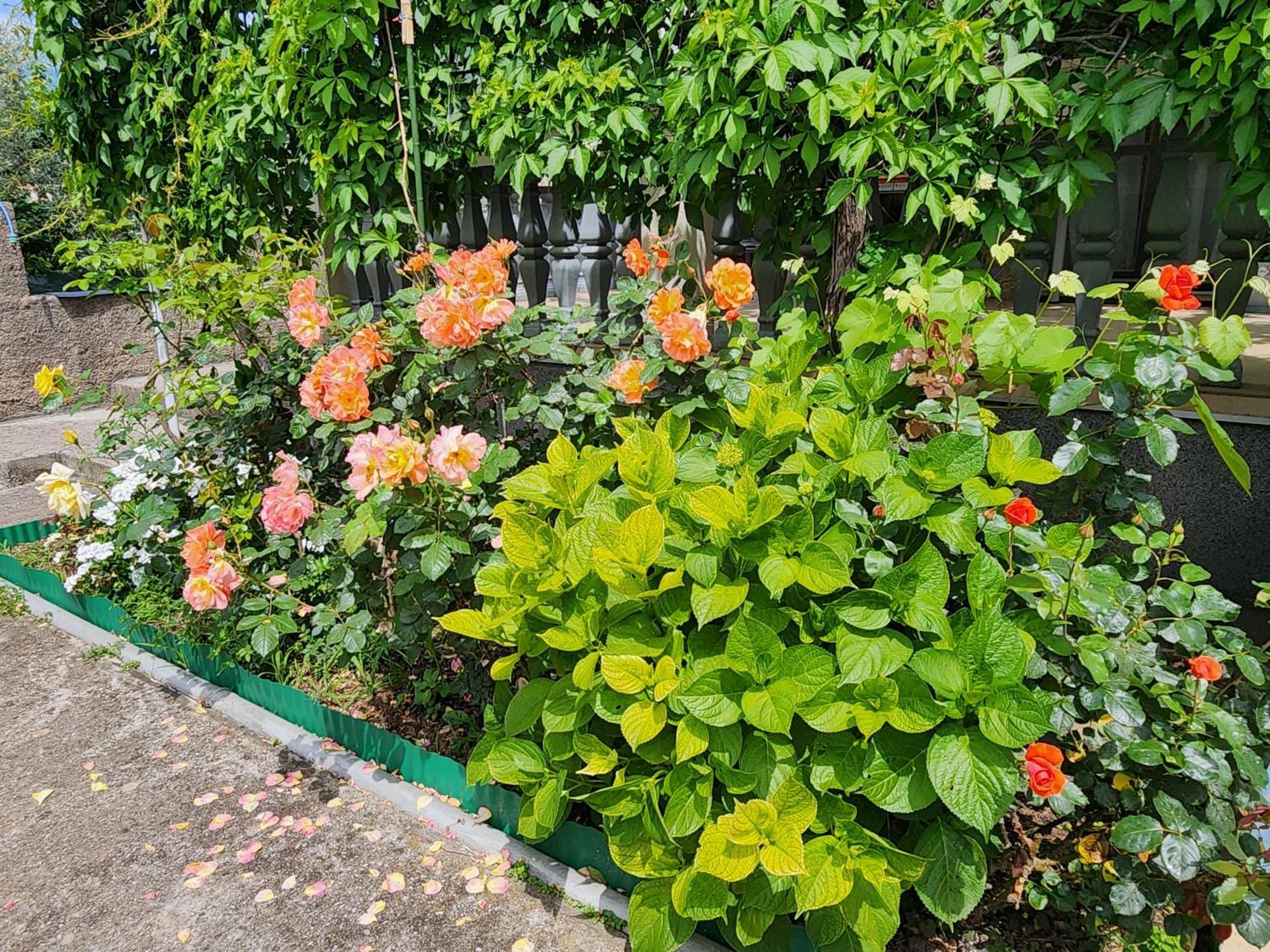 Apartment Dukic บาร์ ภายนอก รูปภาพ
